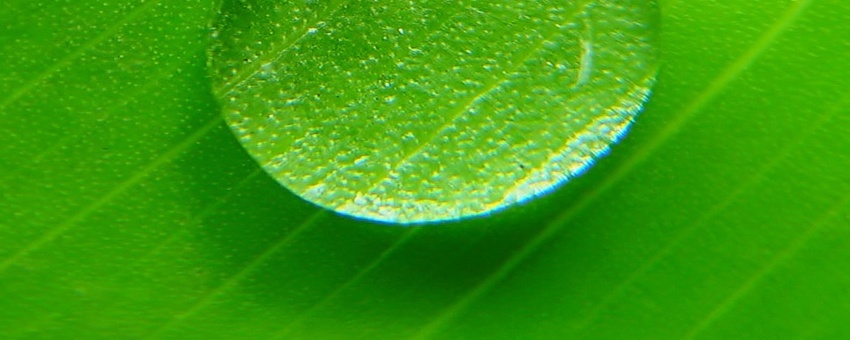 Transparencia en psicoterapia